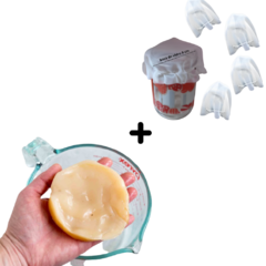 Kit scoby kombucha mais tampa de pote voal E manual de cuidados impresso