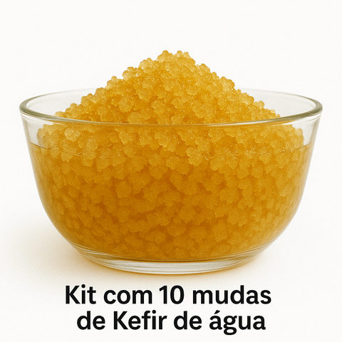 Kit 10 Kefir de água frete grátis