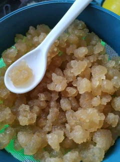 Kefir De Agua Mais Manual De Cuidados Impresso - comprar online