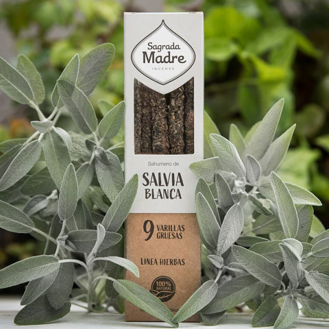 SAHUMERIO SALVIA BLANCA SAGRADA MADRE (SA151)