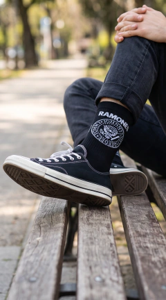 Medias Ramones en internet