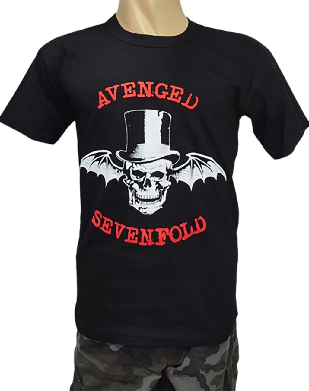 Avenged-sevenfold galera