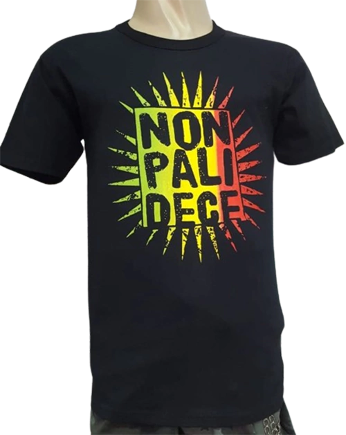 nonpalidece