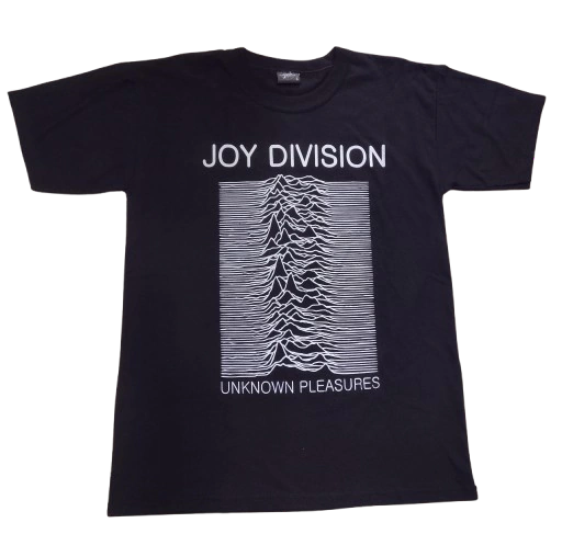 Joy division unknown