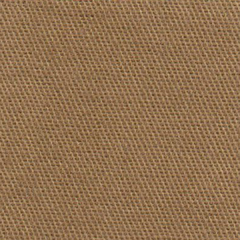 GABARDINA 6 OZ - Dakuba
