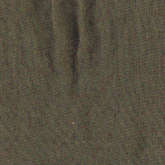 Lino Pantalonero en internet