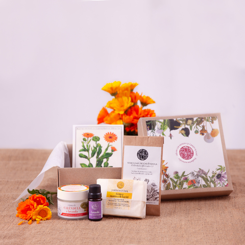 Promo Lavandula
