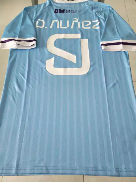 Camiseta Uruguay Titular Darwin Nuñez 9 Match 2024 2025