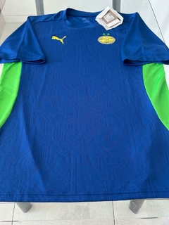 Camiseta Puma PSV Eindhoven Holanda Azul Entrenamiento 2024 2025 - comprar online