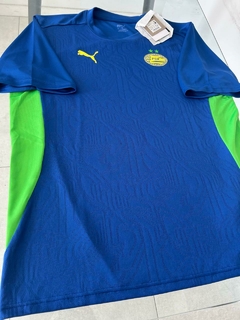 Camiseta Puma PSV Eindhoven Holanda Azul Entrenamiento 2024 2025 - Roda Indumentaria