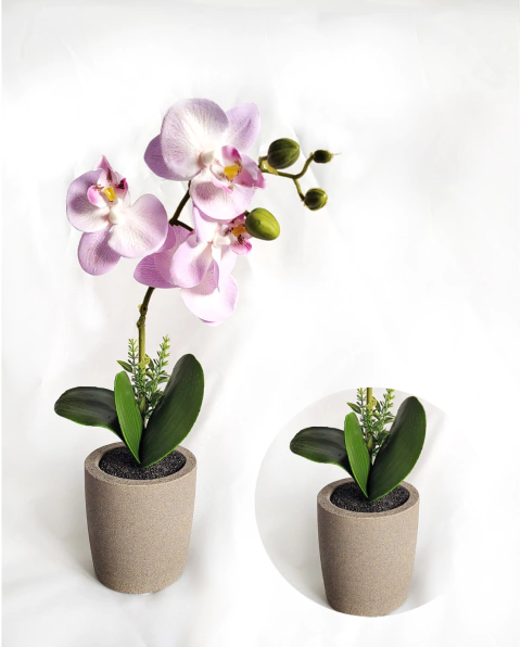 Orquidea en Maceta cemento PK (XD17-995-PK-CEM)