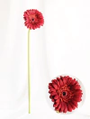 Vara Gerbera roja (L20517/RD)