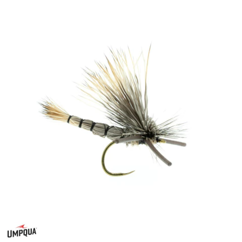 DJL DRAKE UMPQUA