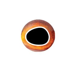 Cool Eyes PRO en internet