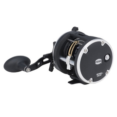 REEL PENN RIVAL 30 WL - comprar online