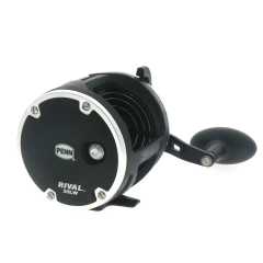 REEL PENN RIVAL RVL 30 WL en internet