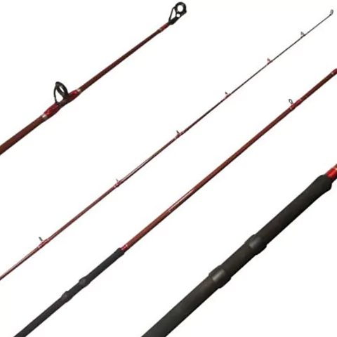 CAÑA MASTERFISH SHORE 270 2 Tramos 60-100 gr