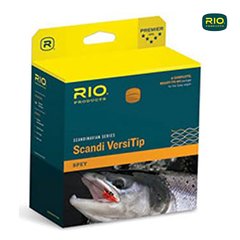 LINEA RIO SCANDI SHORT VERSITIP