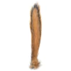 SQUIRREL TAIL COLA DE ARDILLA