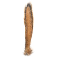 SQUIRREL TAIL COLA DE ARDILLA