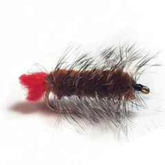 WOLLY WORM / OLIVA / BROWN / BLACK. en internet