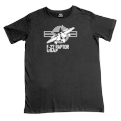 Remera Aviacion F-22 Raptor - comprar online