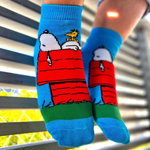 Snoopy - Soquetes