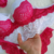 Lingerie Sou Minha (Branco/Pink) Com Bojo Com Aro Cropped Strappy Calcinha Tanga sem Elástico na Traseira - loja online