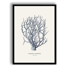 CUADRO BLUE CORAL