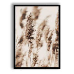 CUADRO CORTADERAS - comprar online