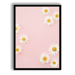 CUADRO DAISIES