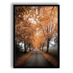 CUADRO FALL