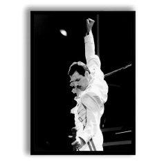 CUADRO FREDDIE MERCURY