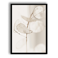 CUADRO LUNARIA - comprar online