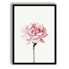 CUADRO PINK FLOWER