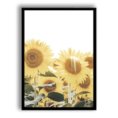 CUADRO SUNFLOWERS II