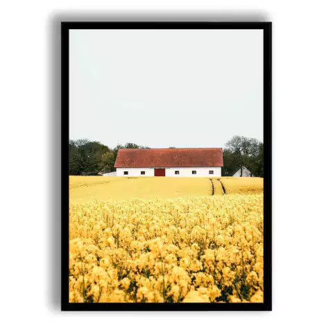 CUADRO YELLOW FIELD
