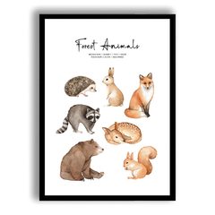 CUADRO FOREST ANIMALS