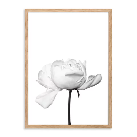 ENTREGA INMEDIATA 50x70-019