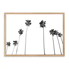 ENTREGA INMEDIATA 20x30-022