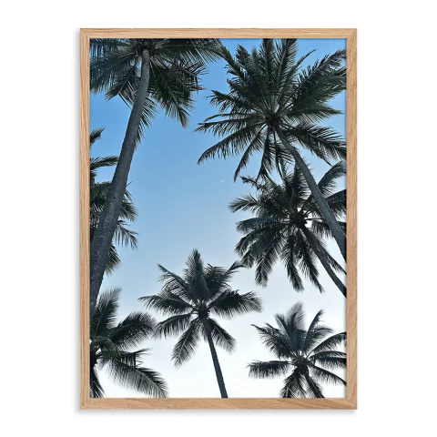 ENTREGA INMEDIATA 20x30-024