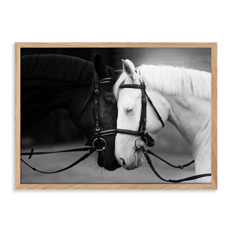 ENTREGA INMEDIATA 30x42-011