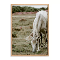 ENTREGA INMEDIATA 30x42-013