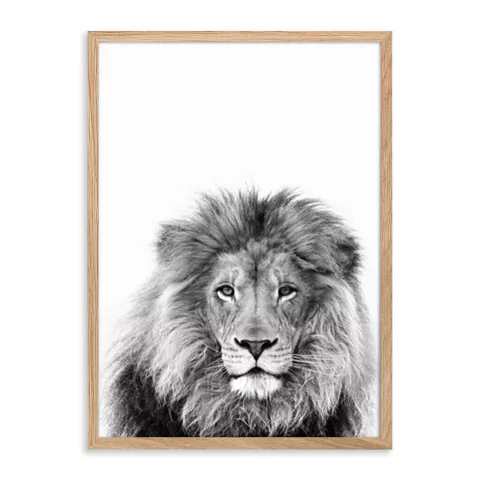 ENTREGA INMEDIATA 30x42-018