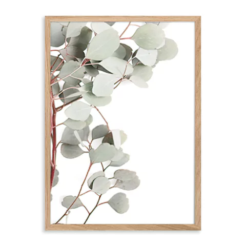 ENTREGA INMEDIATA 30x42-096