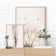 SET DE 2 CUADROS DRY BRANCH