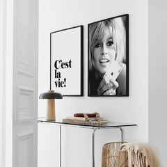 SET DE 2 CUADROS LA VIE