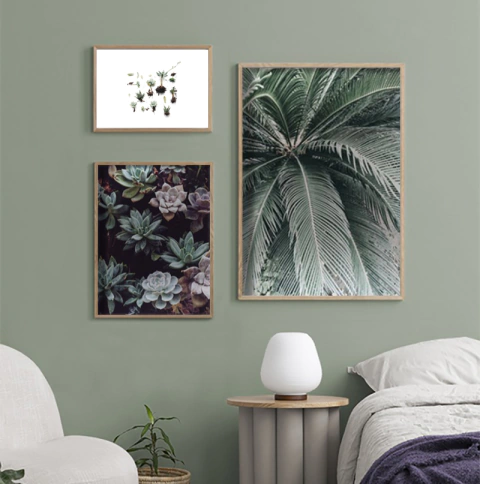 SET DE 3 CUADROS BOTÁNICA