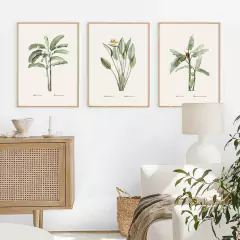 SET DE 3 CUADROS REDOUTE PALMS