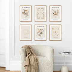 SET DE 6 CUADROS DRIED FLOWERS